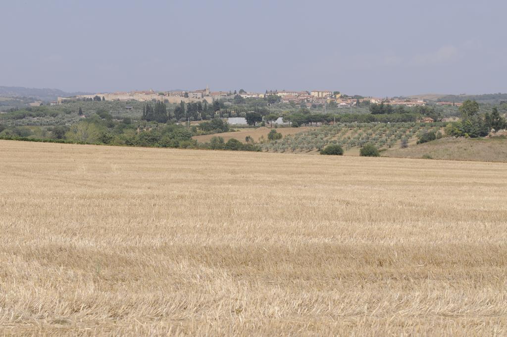 Le Tartarughe Rooms Magliano in Toscana Zewnętrze zdjęcie