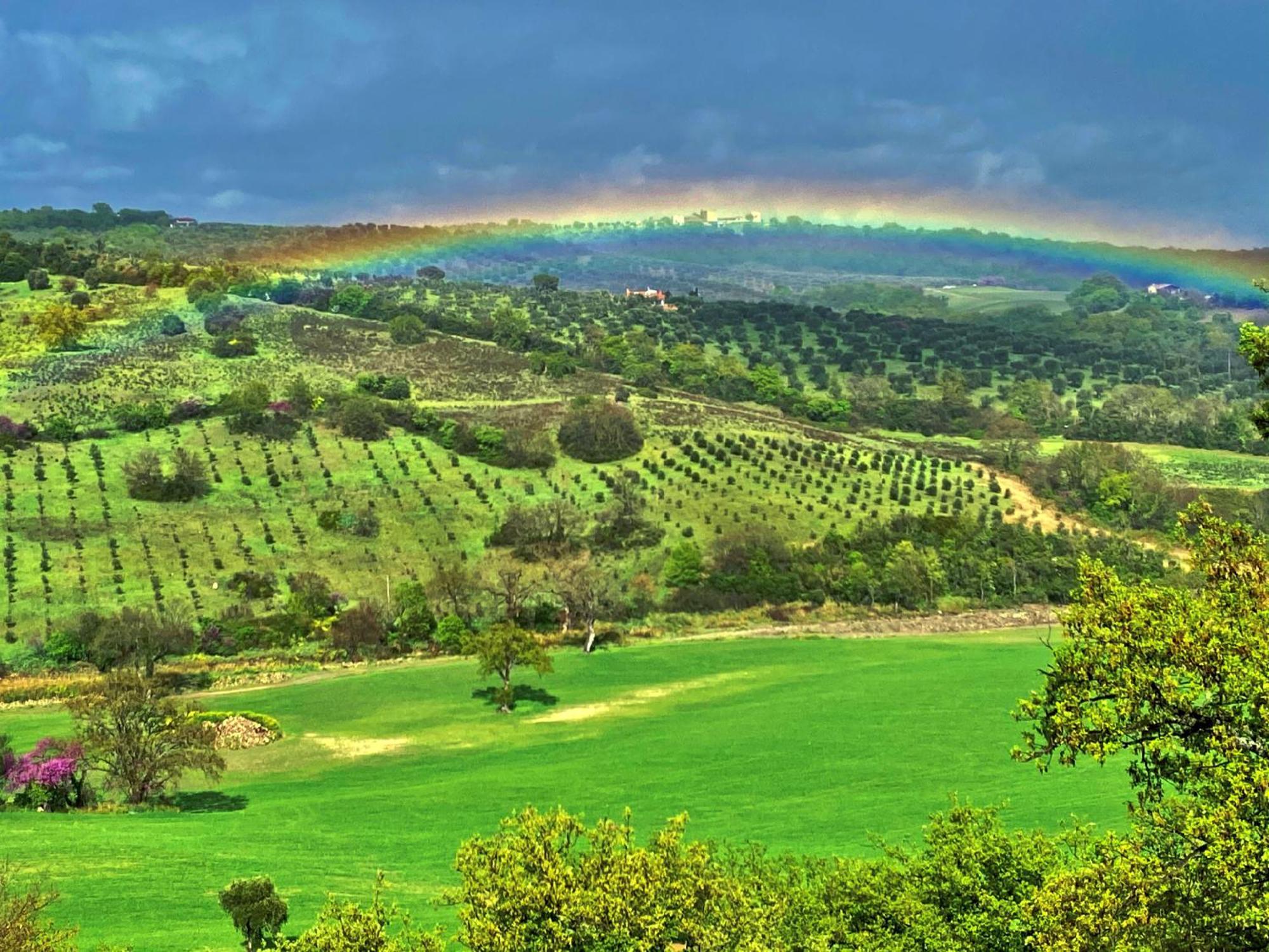 Le Tartarughe Rooms Magliano in Toscana Zewnętrze zdjęcie