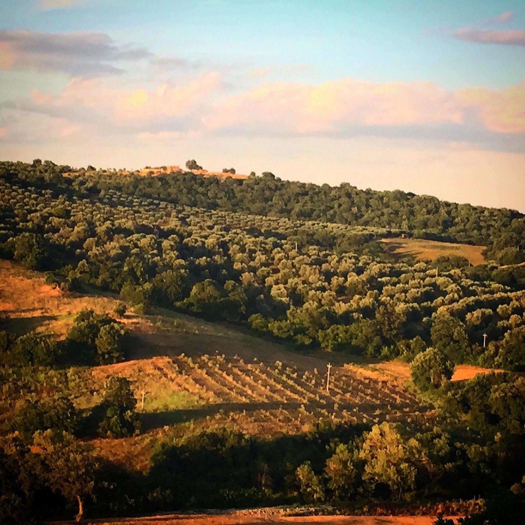 Le Tartarughe Rooms Magliano in Toscana Zewnętrze zdjęcie