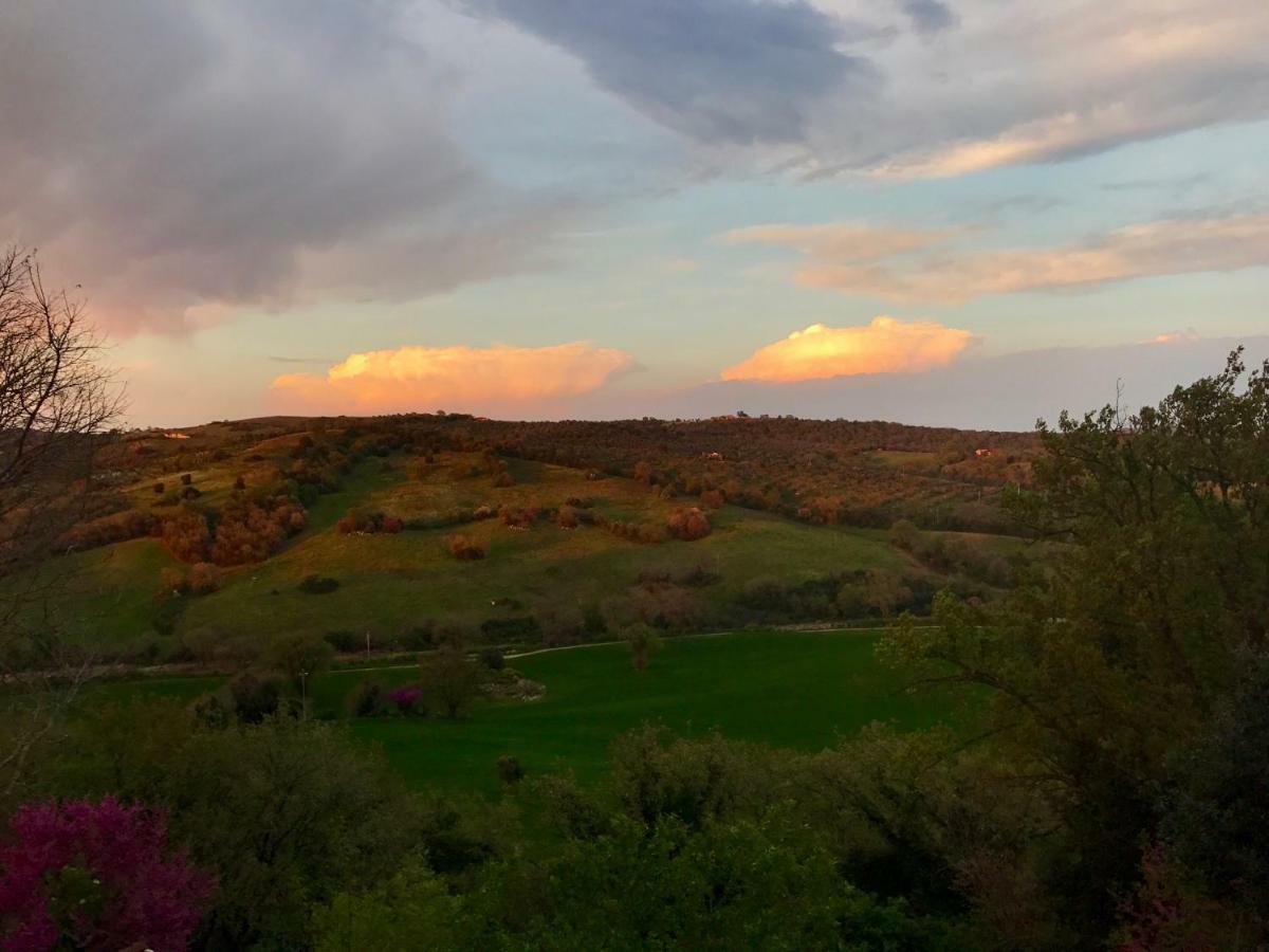 Le Tartarughe Rooms Magliano in Toscana Zewnętrze zdjęcie